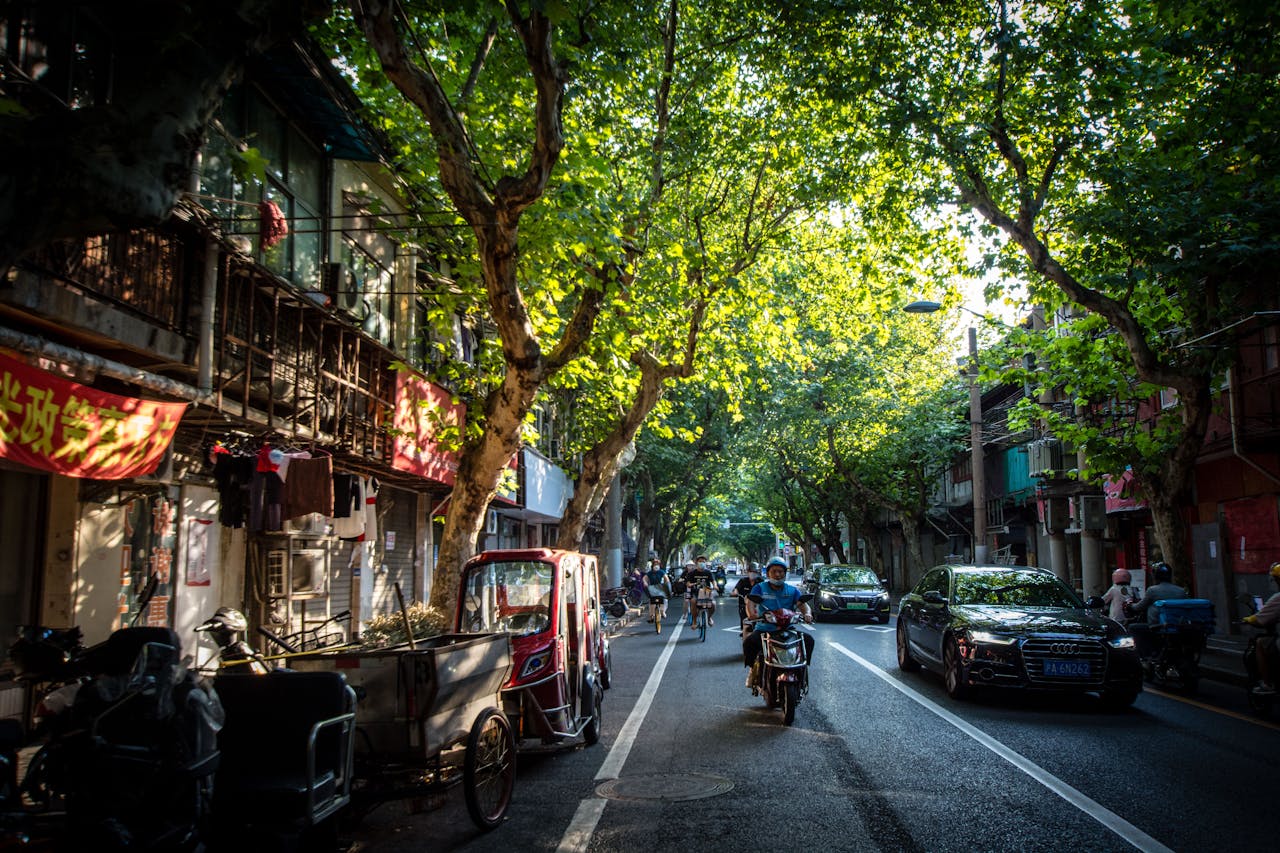 services-bg A lively street scene with motorcyclists under lush, green trees in a suburban area.